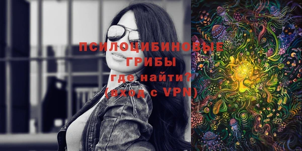 дурь Чердынь
