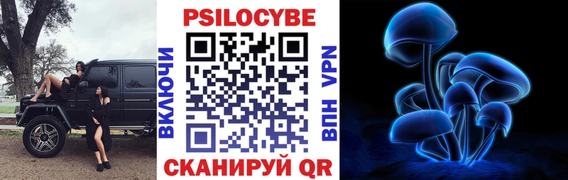 Псилоцибиновые грибы мицелий  закладка  Хадыженск 
